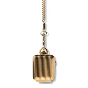 Bucardo Apple Watch Pocket Watch in Gold Pinstripe Series 1-3