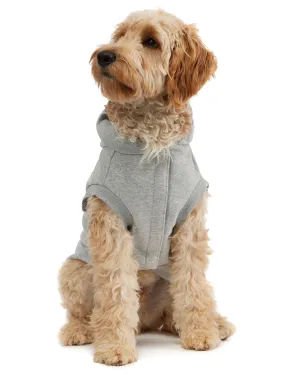 Dash Hoodie for Dogs