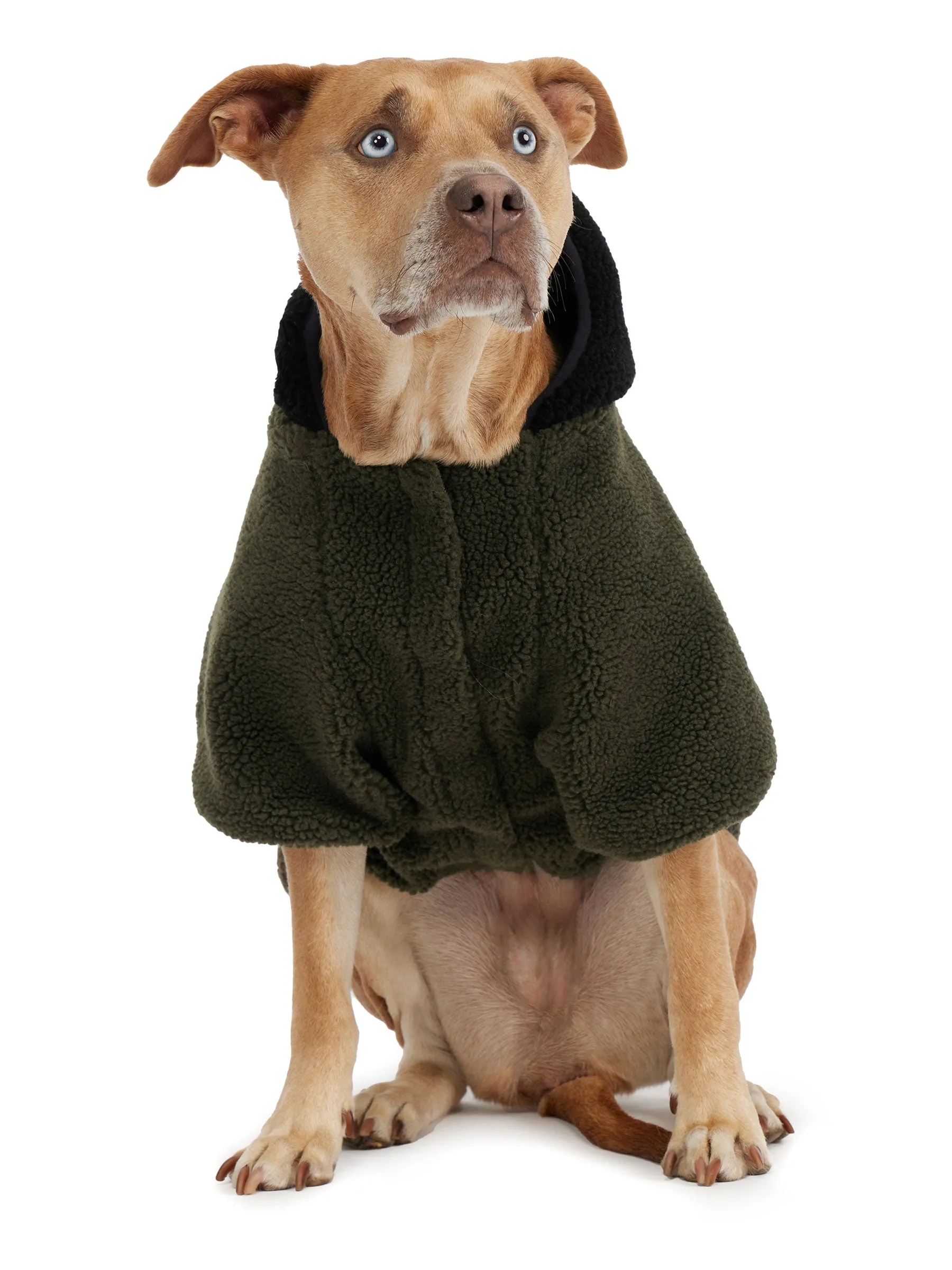 Max Jacket w/Hood for Dogs